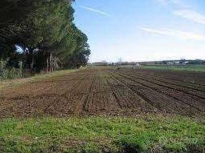 Terreno agricolo in vendita a Montevarchi