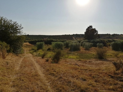 Terreno agricolo in vendita a Motta Sant'Anastasia