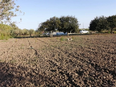 Terreno agricolo in vendita a Noto