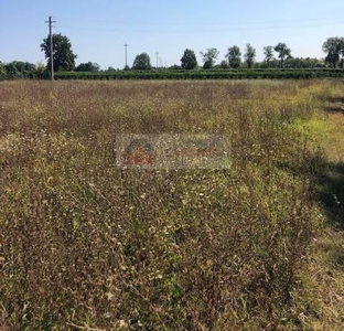 Terreno agricolo in vendita a Oderzo