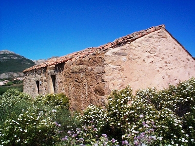 Terreno agricolo in vendita a Olbia