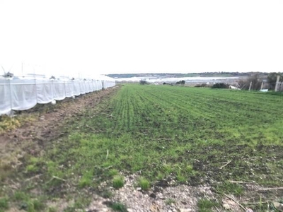 Terreno agricolo in vendita a Pachino