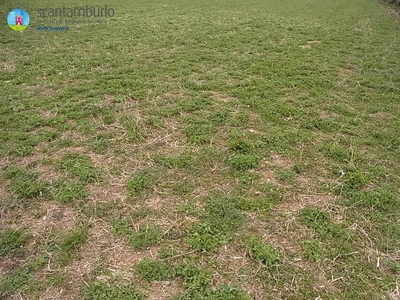 Terreno agricolo in vendita a Paese