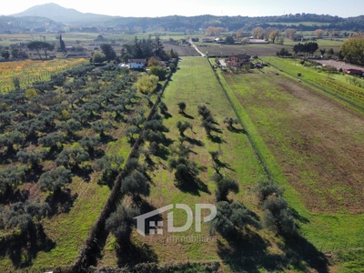 Terreno agricolo in vendita a Palombara Sabina