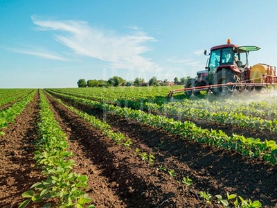 Terreno agricolo in vendita a Sala Baganza