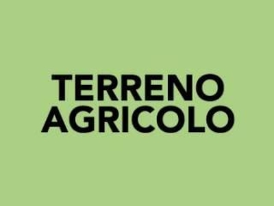 Terreno agricolo in vendita a Salzano