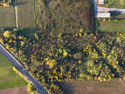 Terreno agricolo in vendita a San Giovanni Al Natisone