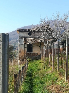 Terreno agricolo in vendita a Santa Caterina Albanese