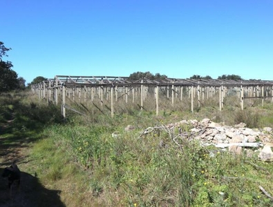 Terreno agricolo in vendita a Santa Croce Camerina