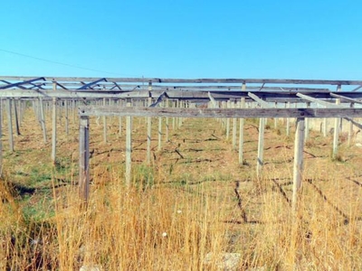 Terreno agricolo in vendita a Santa Croce Camerina