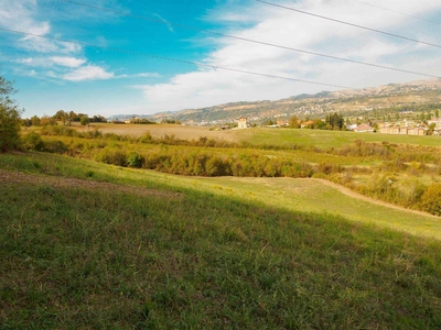 Terreno agricolo in vendita a Sassuolo