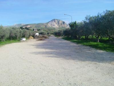 Terreno agricolo in vendita a Sciacca