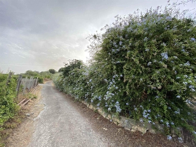 Terreno agricolo in vendita a Scordia