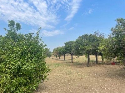 Terreno agricolo in vendita a Siracusa