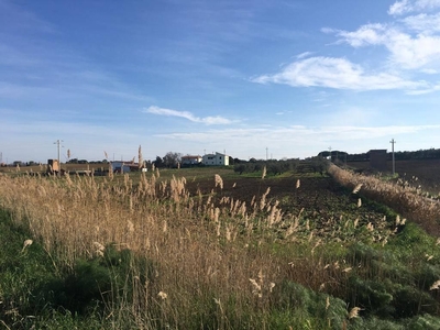 Terreno agricolo in vendita a Tarquinia