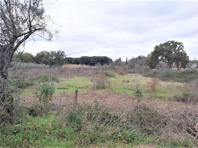 Terreno agricolo in vendita a Tivoli