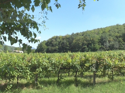 Terreno agricolo in vendita a Val Liona