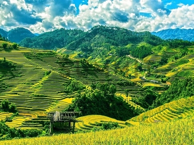 Terreno agricolo in vendita a Valli Del Pasubio