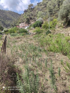 Terreno agricolo in vendita a Ventimiglia