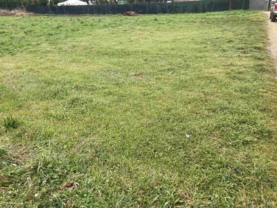 Terreno agricolo in vendita a Viareggio