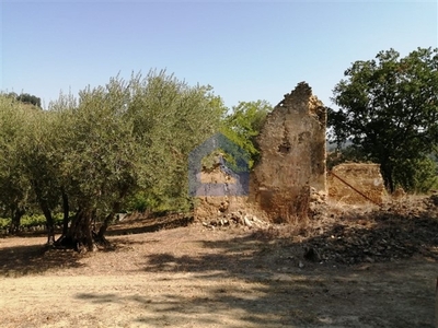 Terreno con rustico in vendita a Lanciano