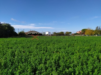 Terreno edificabile commerciale in vendita a Ariano Nel Polesine