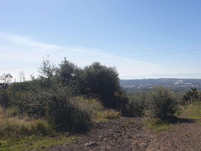 Terreno agricolo in vendita a Belpasso