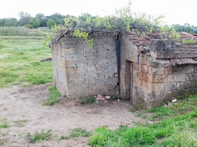 Terreno edificabile in vendita a Nepi