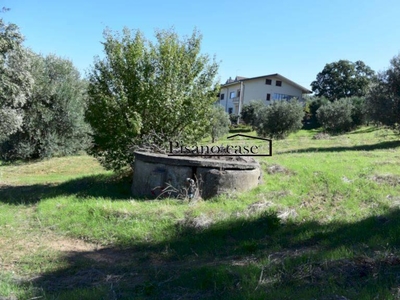 Terreno edificabile in vendita a San Marco Argentano