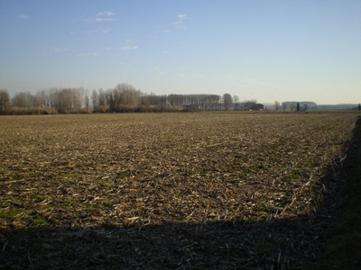 Terreno edificabile industriale in vendita a Camposampiero