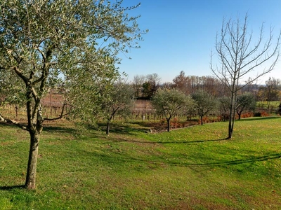 Terreno edificabile residenziale in vendita a Montebelluna