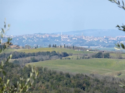 Terreno edificabile residenziale in vendita a Murlo