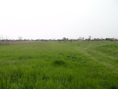 Terreno edificabile residenziale in vendita a San Pietro Viminario