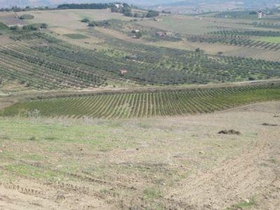 Terreno edificabile residenziale in vendita a Sciacca