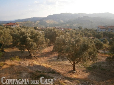 Terreno edificabile residenziale in vendita a Settingiano