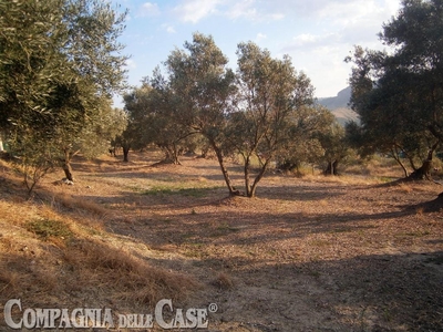 Terreno edificabile residenziale in vendita a Settingiano