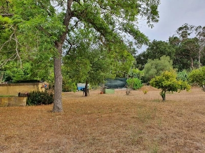 Terreno edificabile residenziale in vendita a Tortoli'