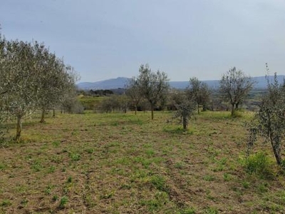 Terreno edificabile residenziale in vendita a Viterbo