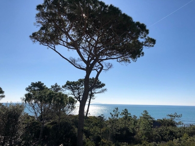 Villa a schiera in affitto a Castiglione Della Pescaia