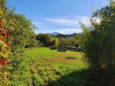 Villa in vendita a Monreale