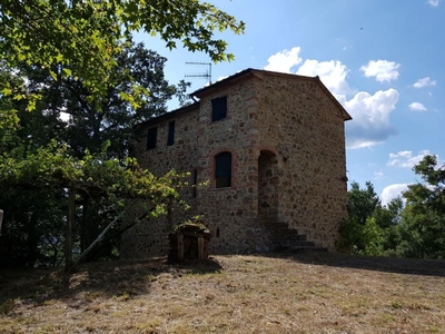 rustico / casale in vendita a Montieri