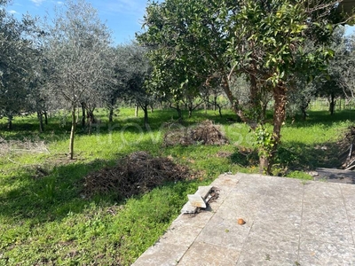 Terreno Agricolo in vendita a Cercola corso Domenico Riccardi