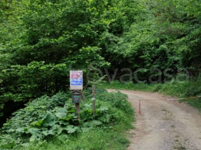 Terreno Agricolo in vendita a Cortemilia località Castello