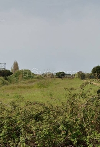 Terreno Agricolo in vendita a Nettuno via Santa Marinella, 67