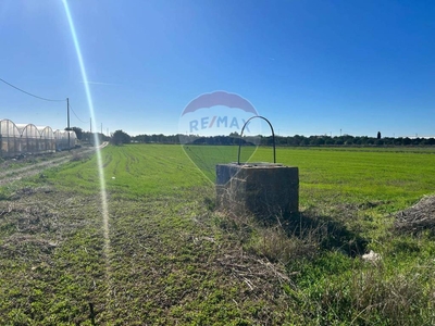 Terreno Agricolo in vendita a Noto burgio