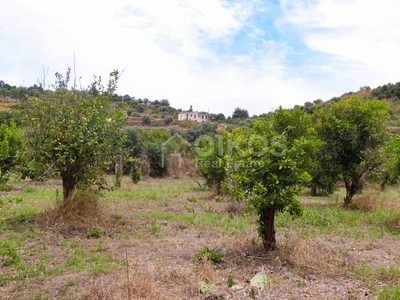 Terreno Agricolo in vendita a Noto contrada Fiumara