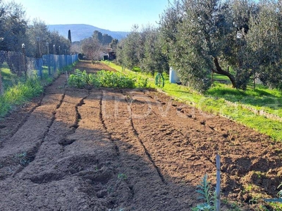 Terreno Agricolo in vendita a Piombino località Asca