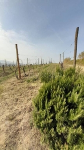 Terreno Agricolo in vendita a Refrancore borgata Calcini