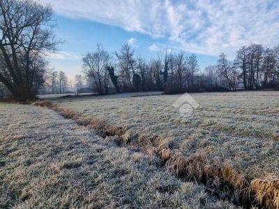 Terreno Agricolo in vendita a Renate via umberto I