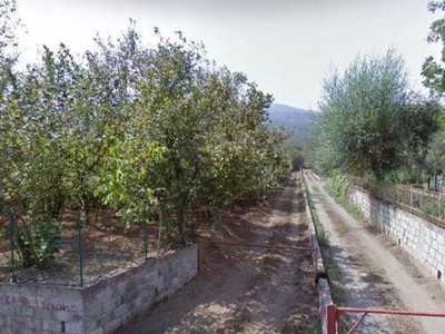 Terreno Agricolo in vendita a Roccarainola via Veccio